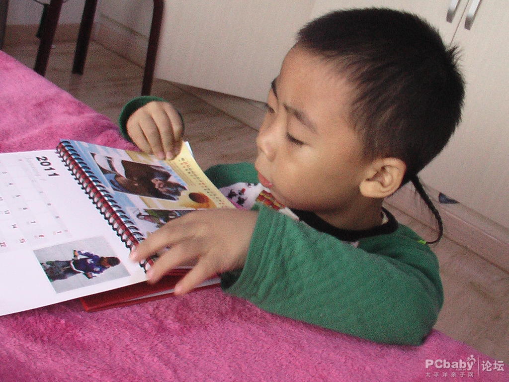 海豚對這本臺歷可是很有興趣呢,一直沒撒手