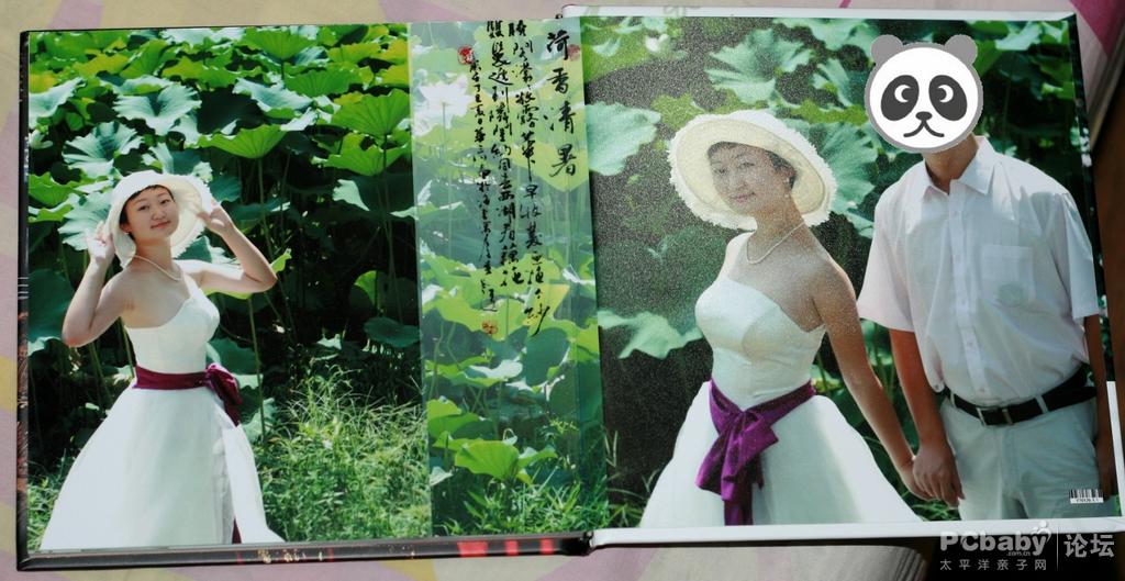 荷塘月色，哈哈，只能想想